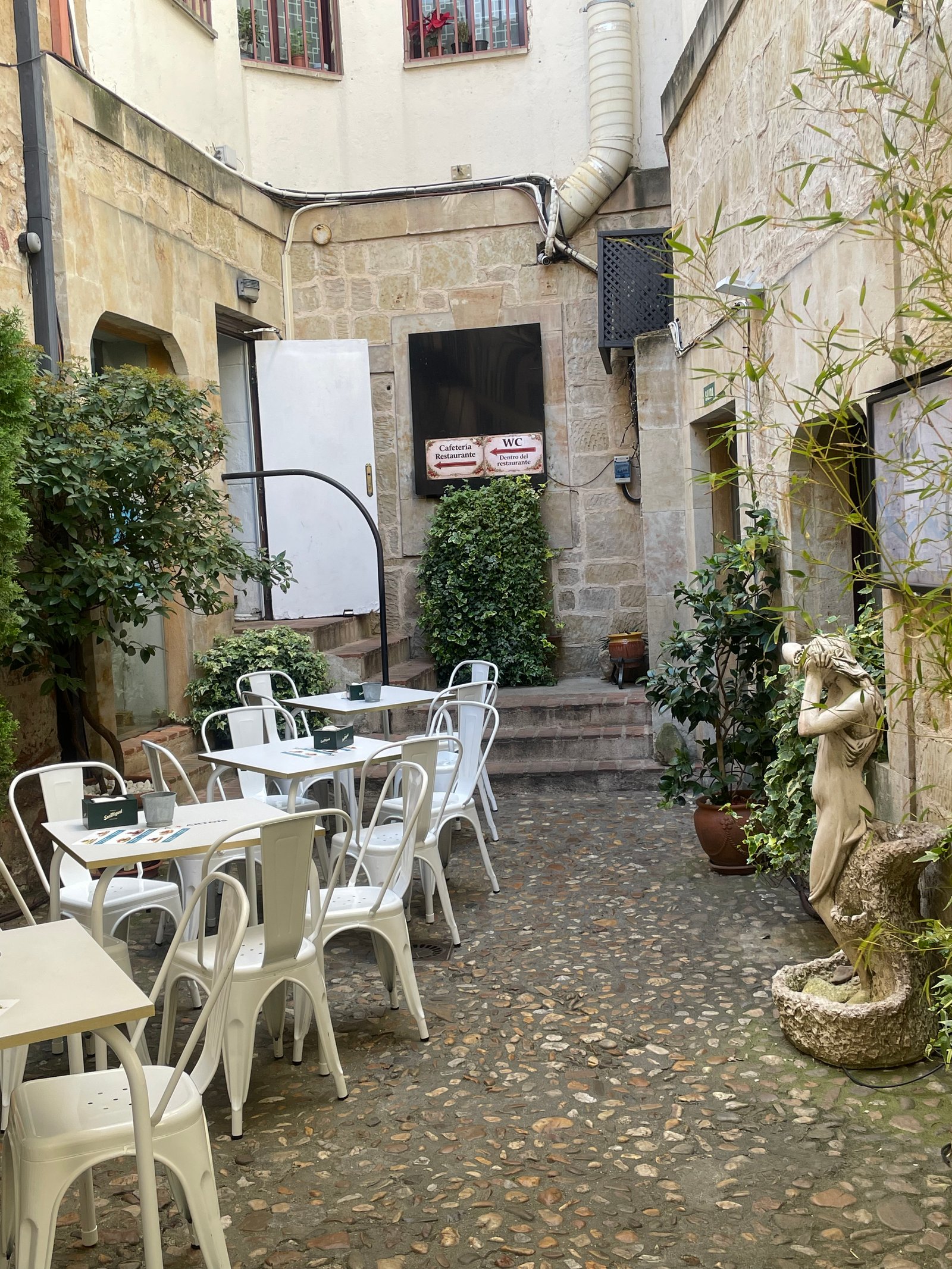 Terraza jardín Don Quijote