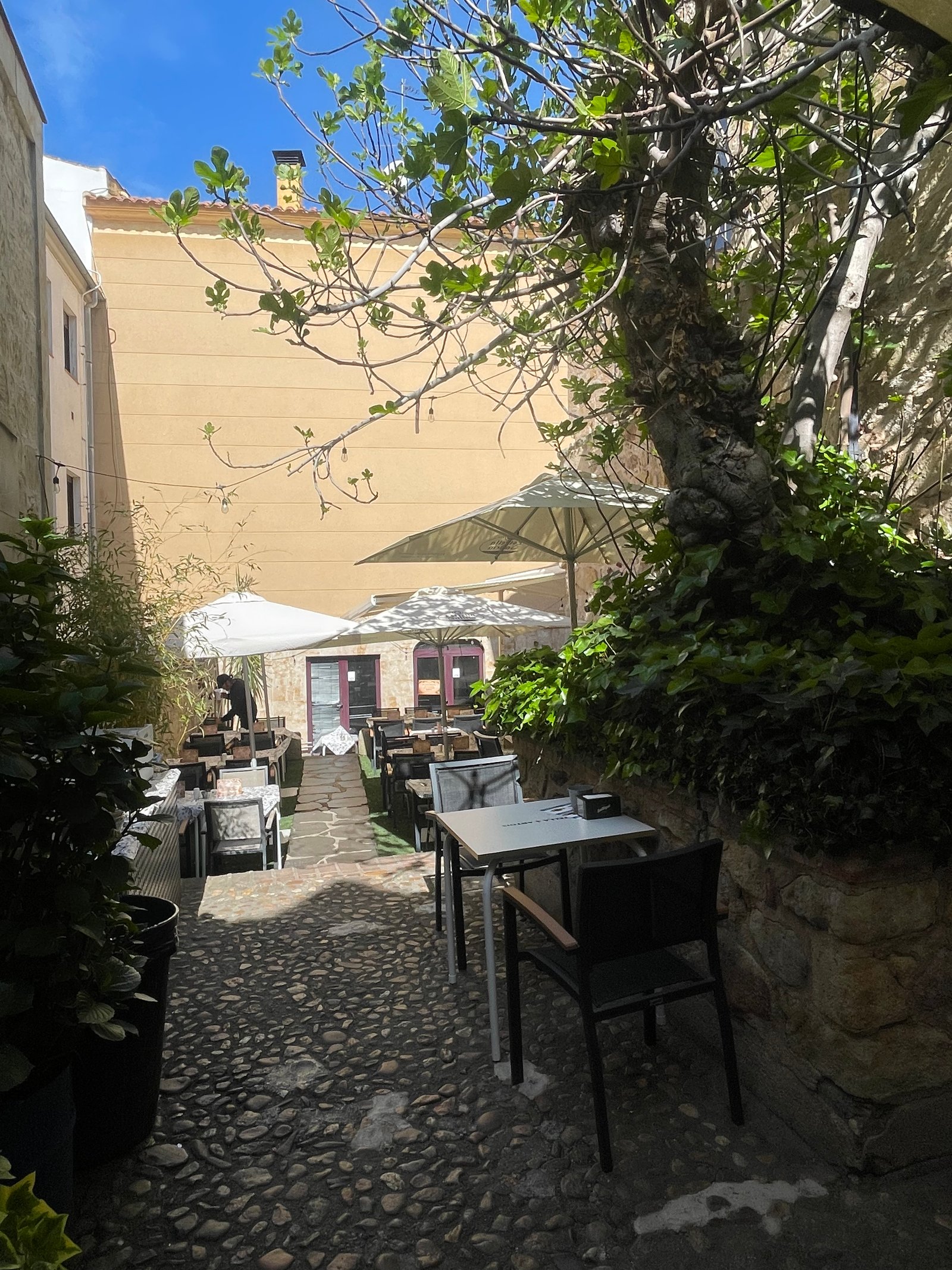 Ambiente de la terraza
